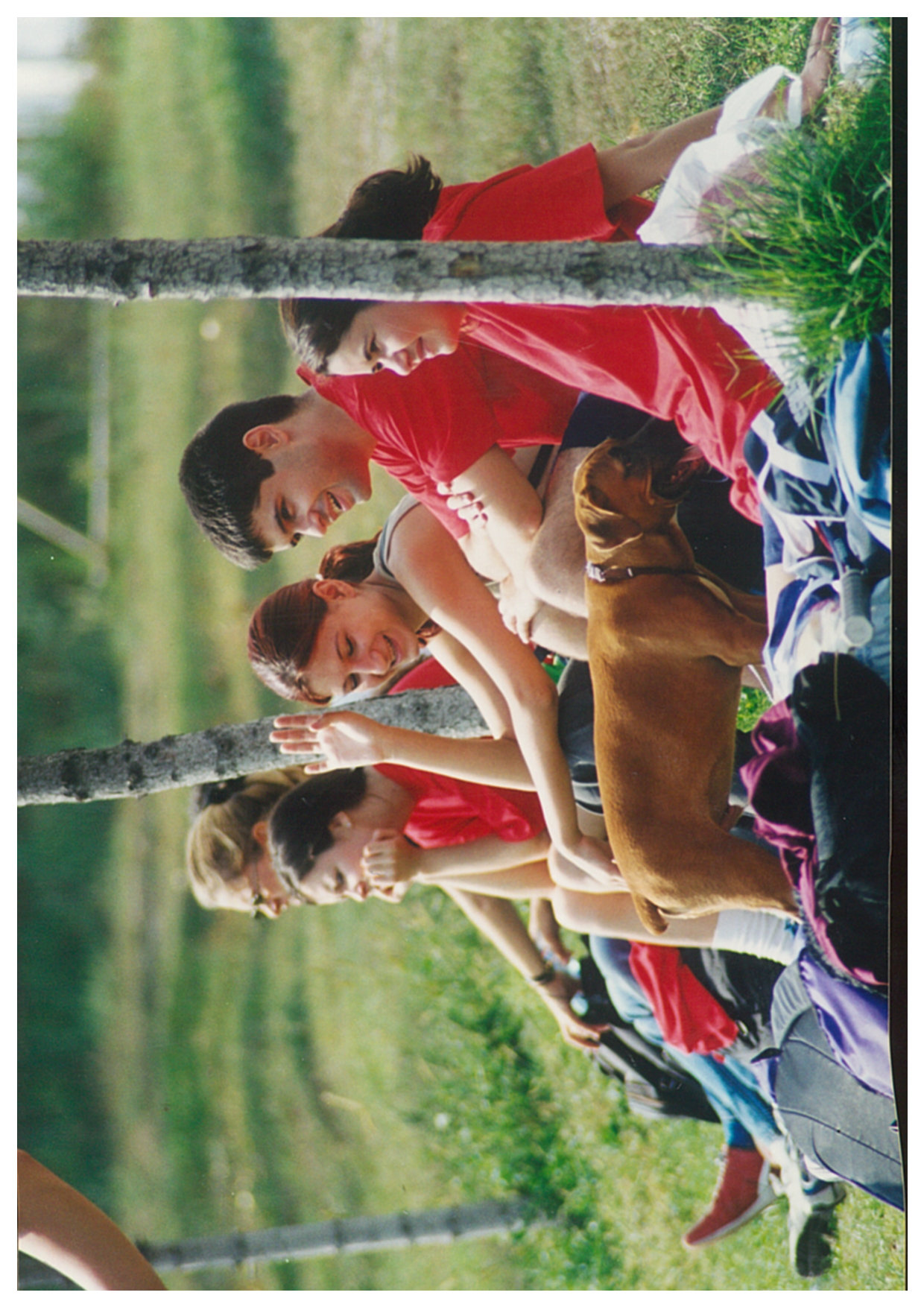 Slide 15